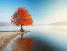 谷﻿歌​设‌计﻿